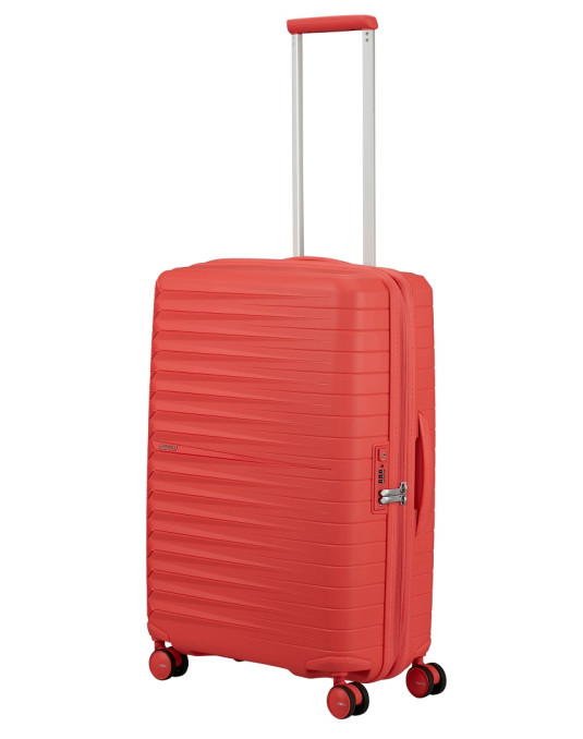 FASTFORWARD | Spinner 68 cm | Exp. |